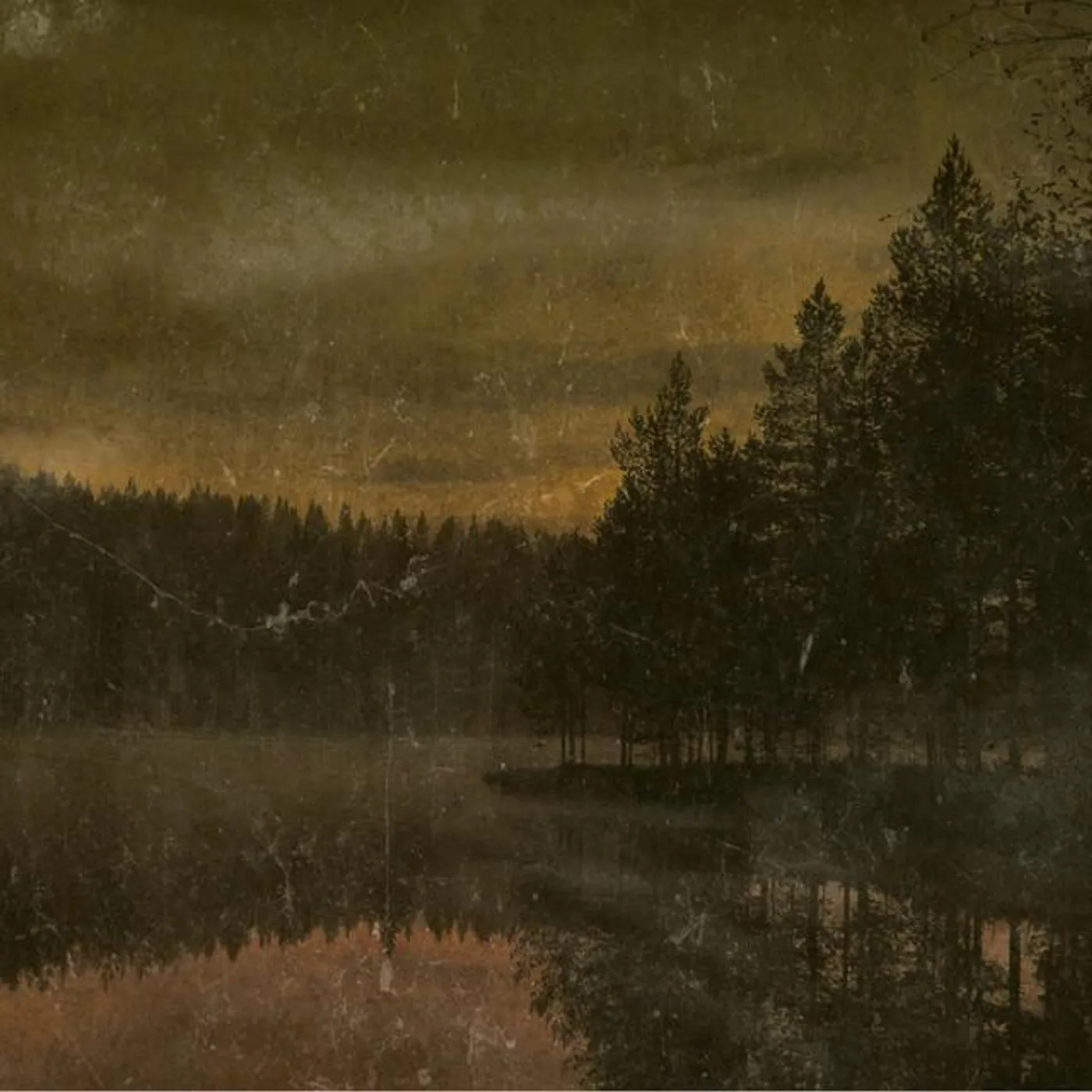 autumn, leaves, scars