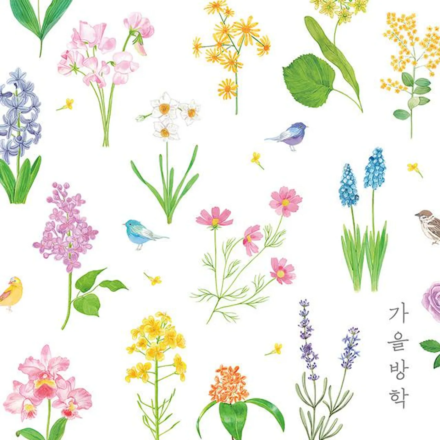 Autumn Vacation Brand Page