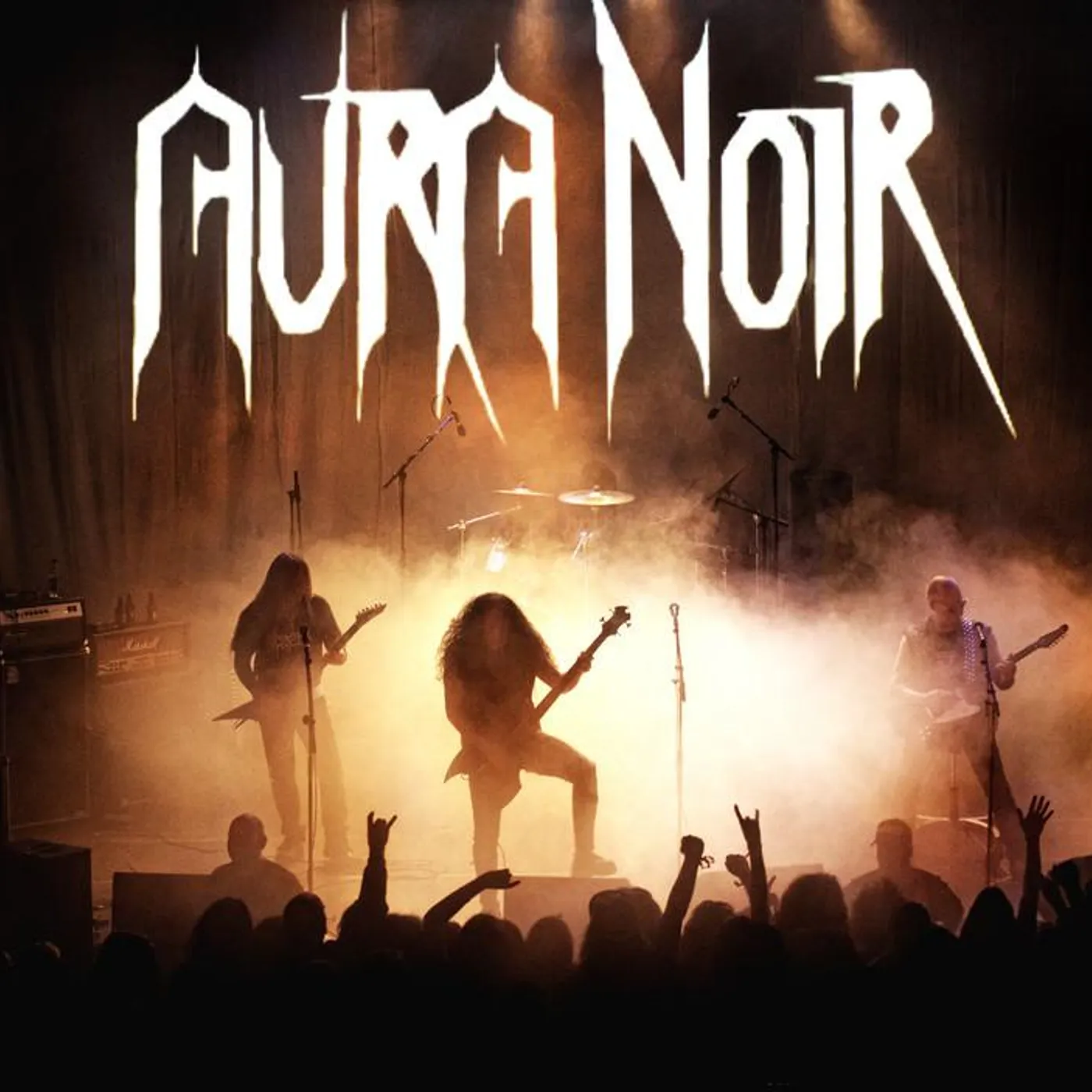 Aura Noir Brand Page