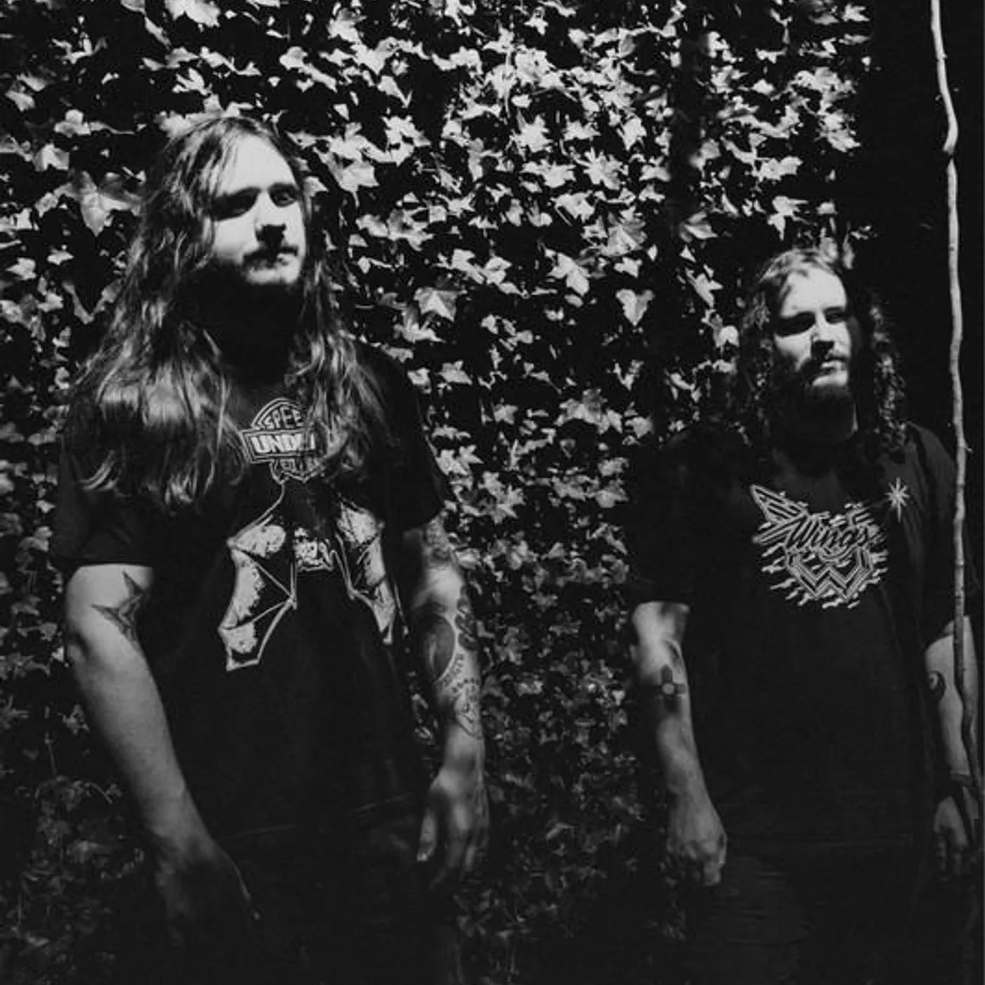 Auralayer Brand Page