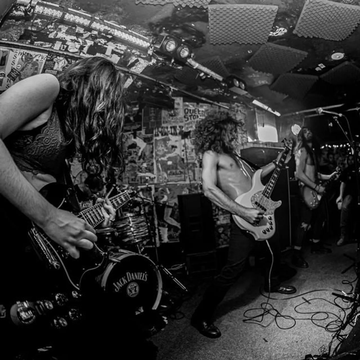 Avalanche Brand Page