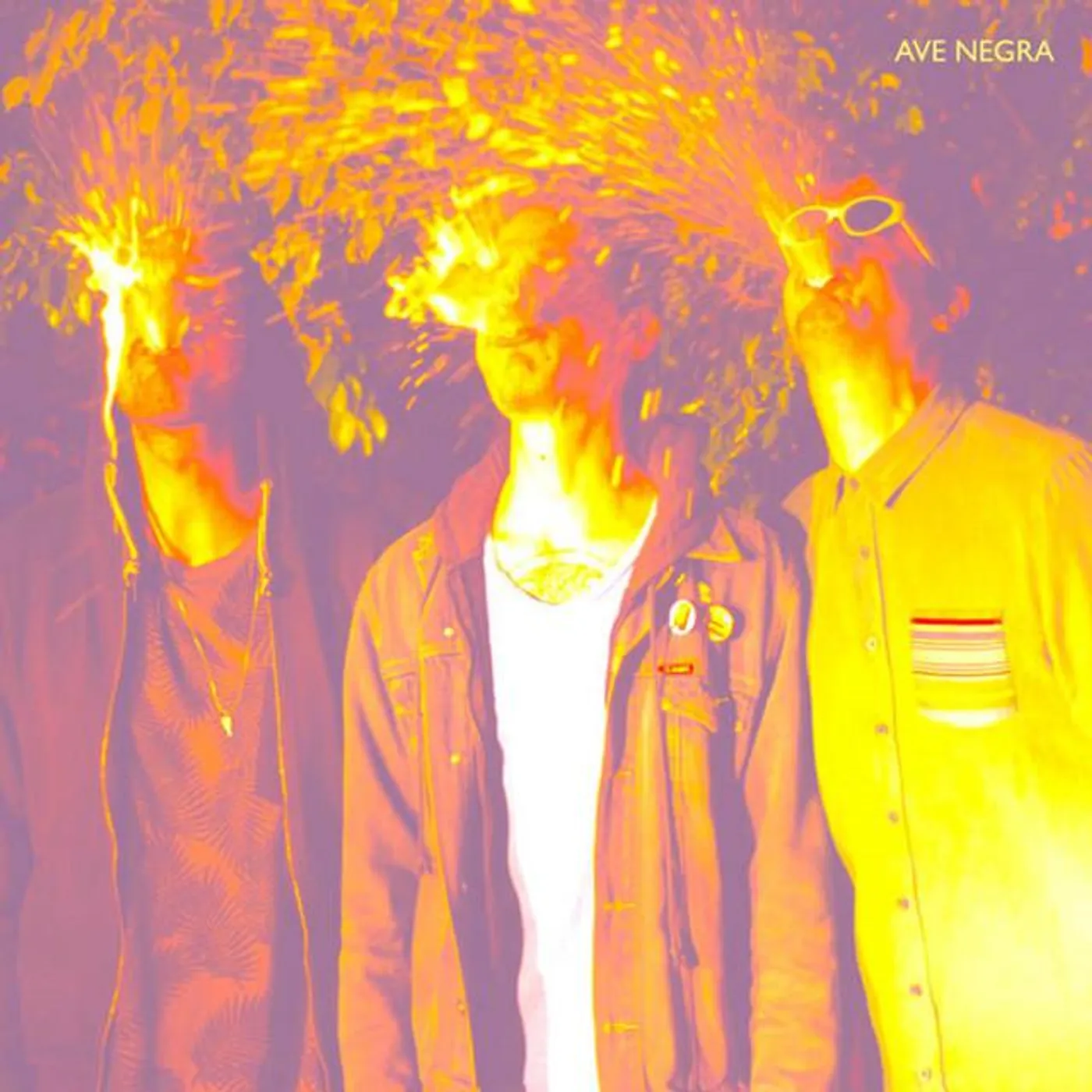 Ave Negra Brand Page