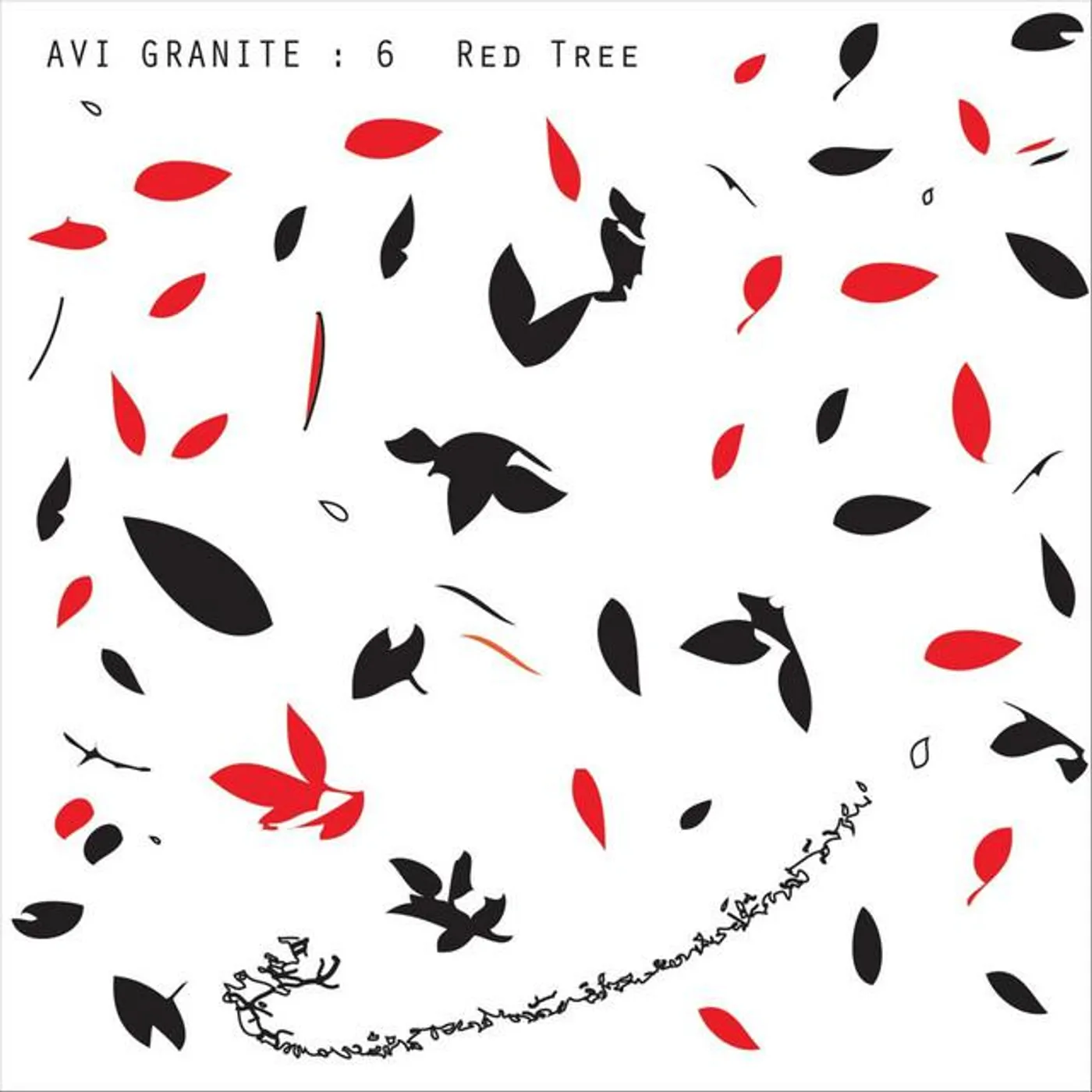 Avi Granite:6