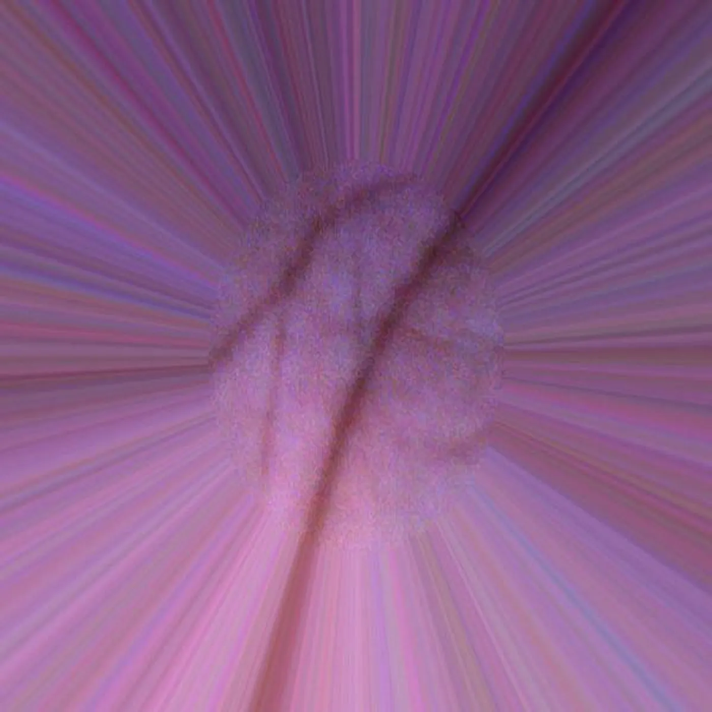 Avido Khahaifa Brand Page