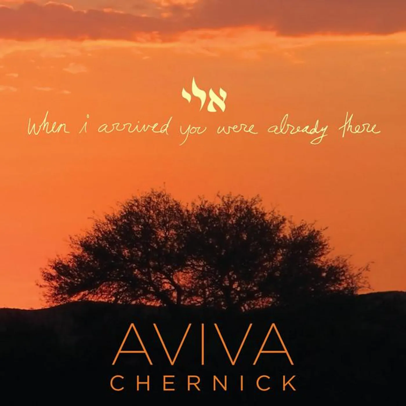 Aviva Chernick
