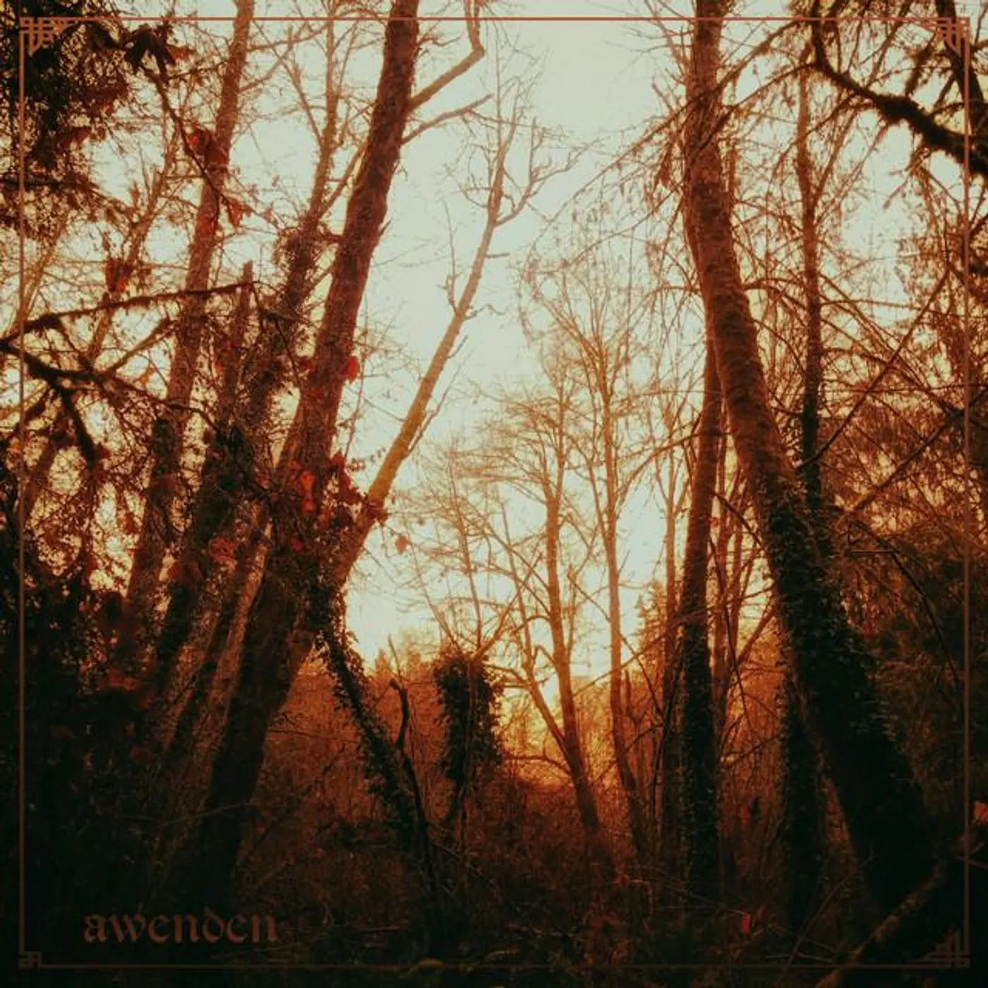 Awenden Brand Page