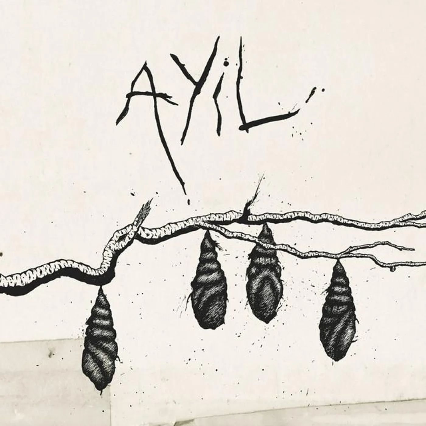 Ayil