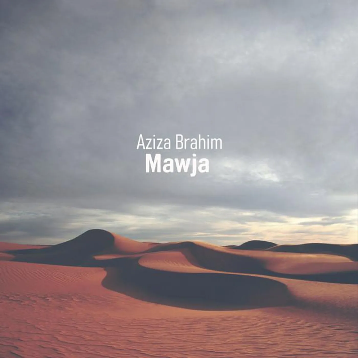 Aziza Brahim Brand Page