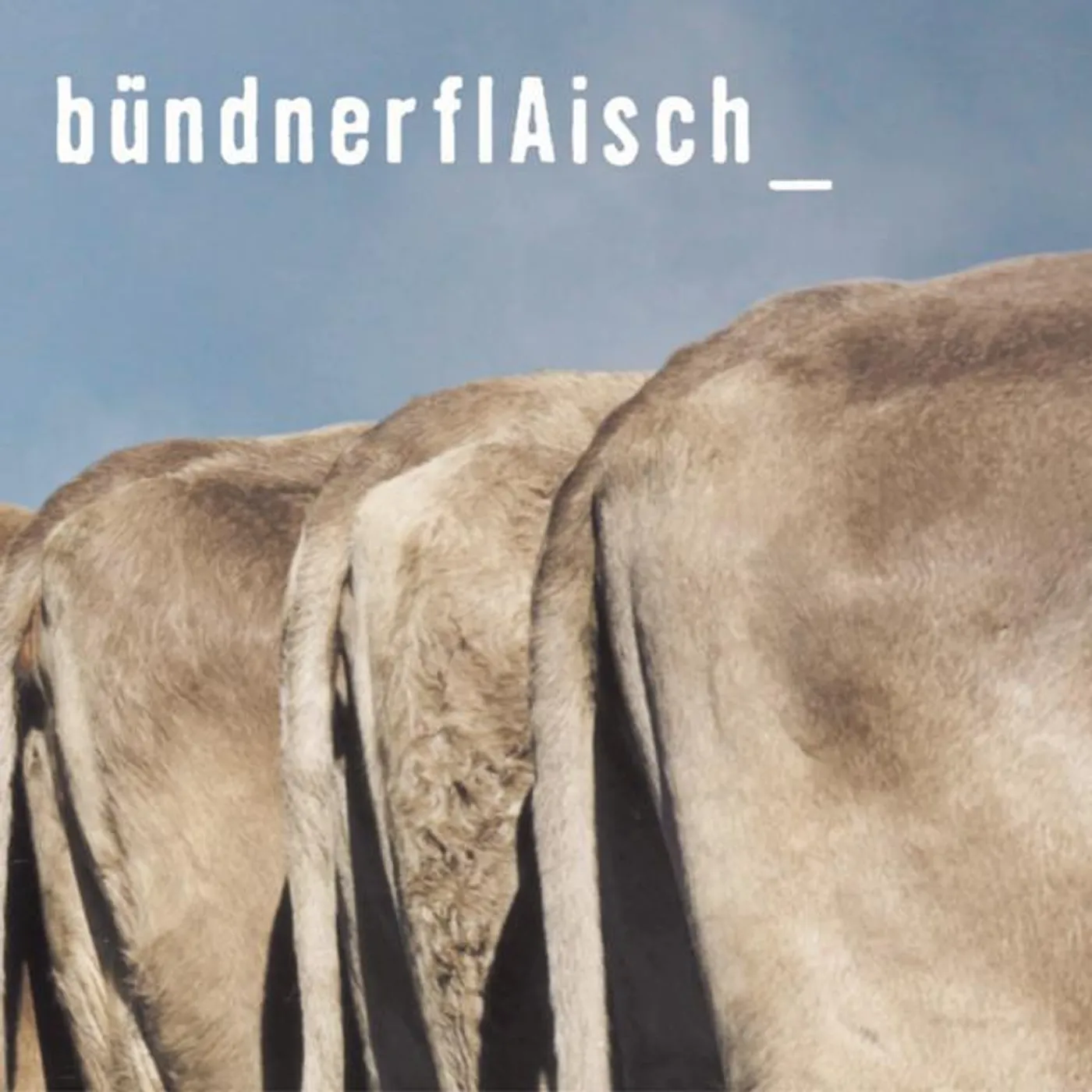 Bündnerflaisch Brand Page