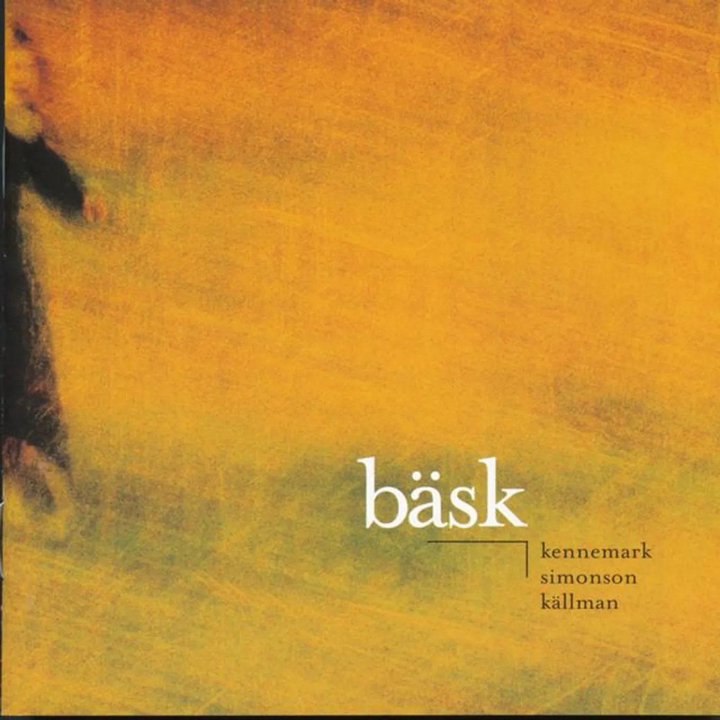 Bäsk Brand Page