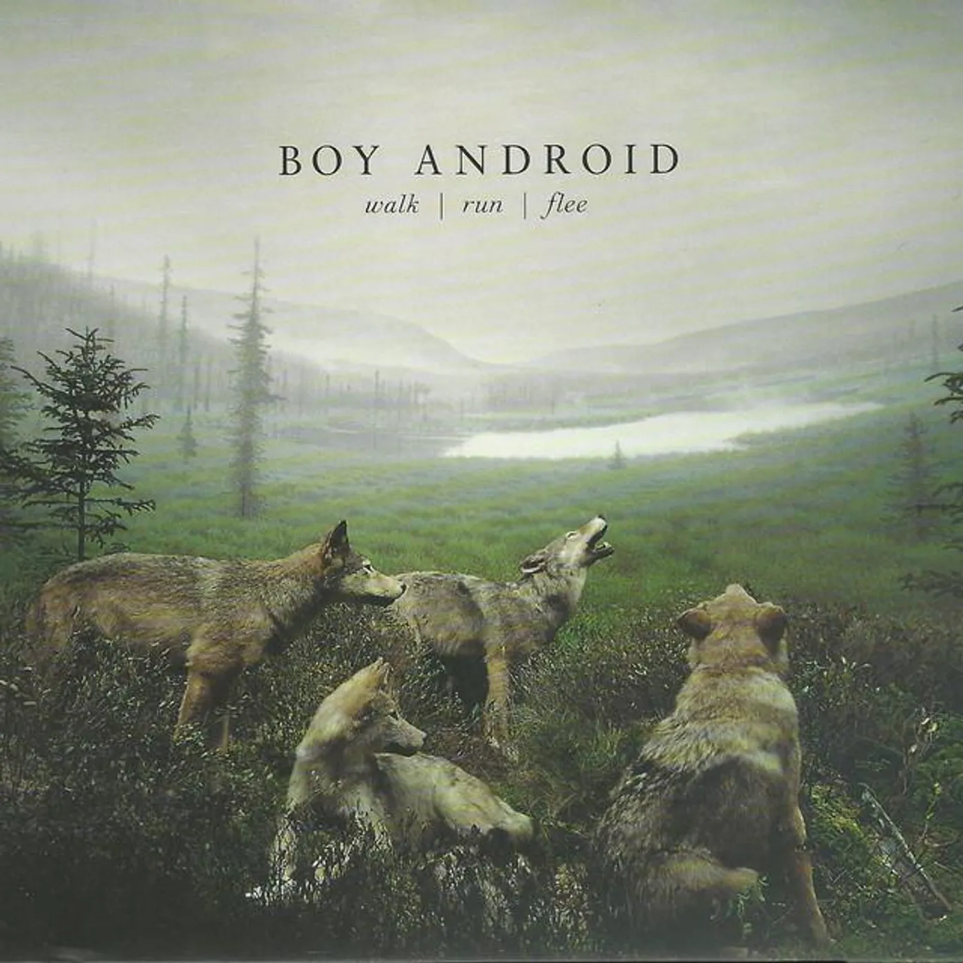 Boy Android
