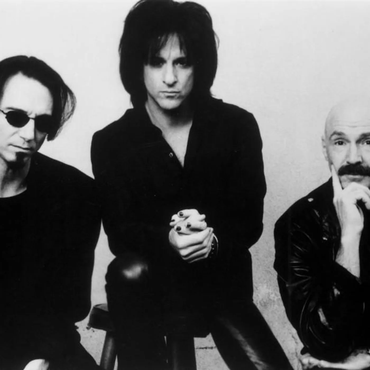 Bozzio Levin Stevens Brand Page