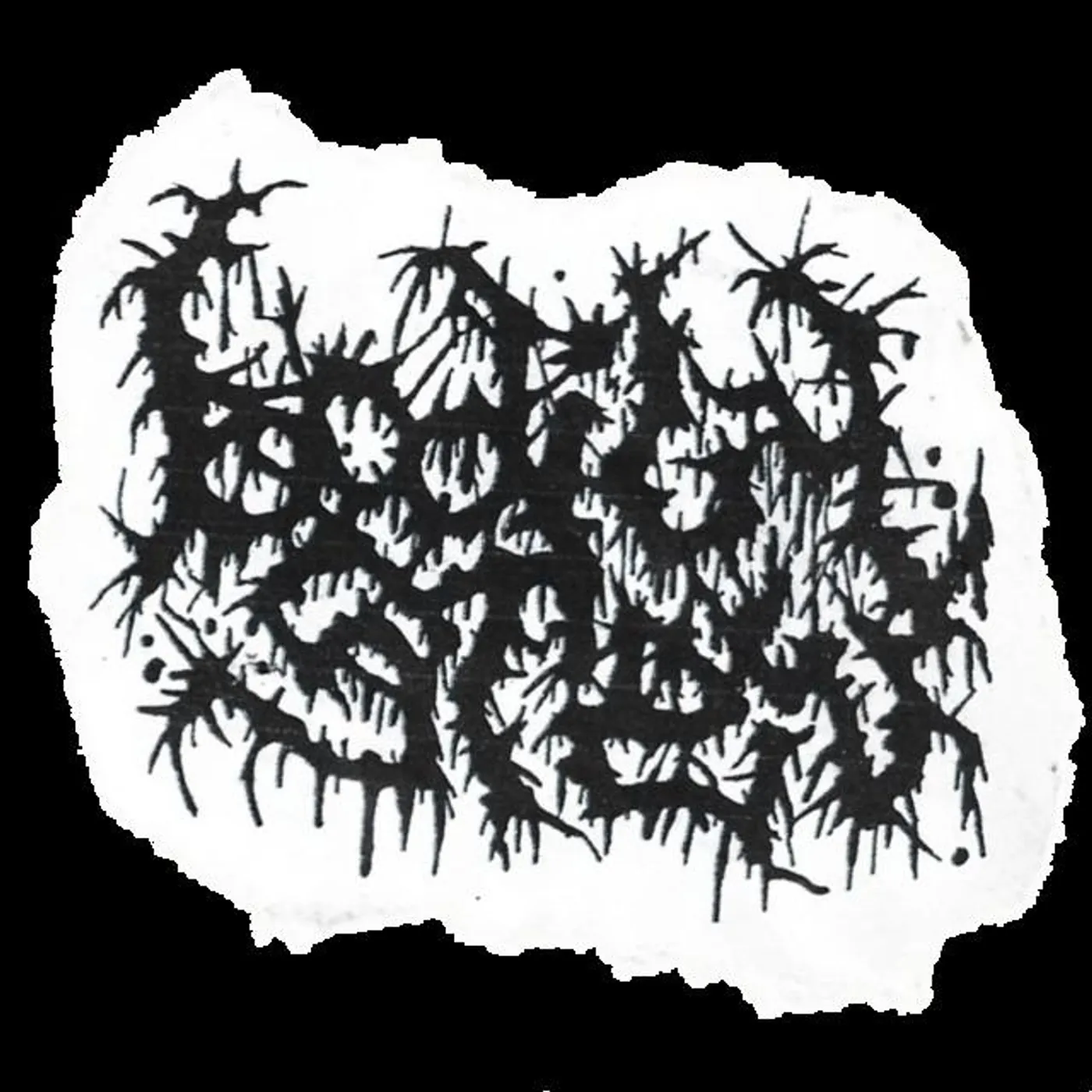 BODILY STEW Brand Page