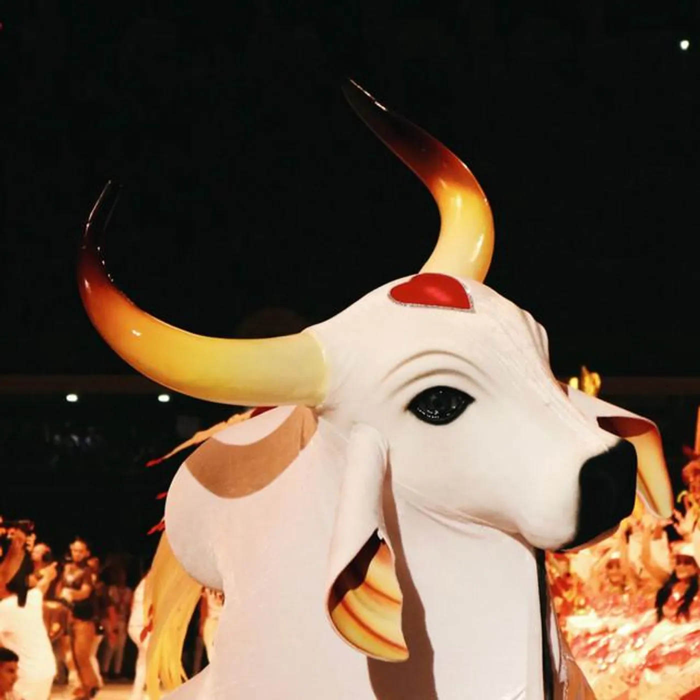 Boi Bumbá Garantido