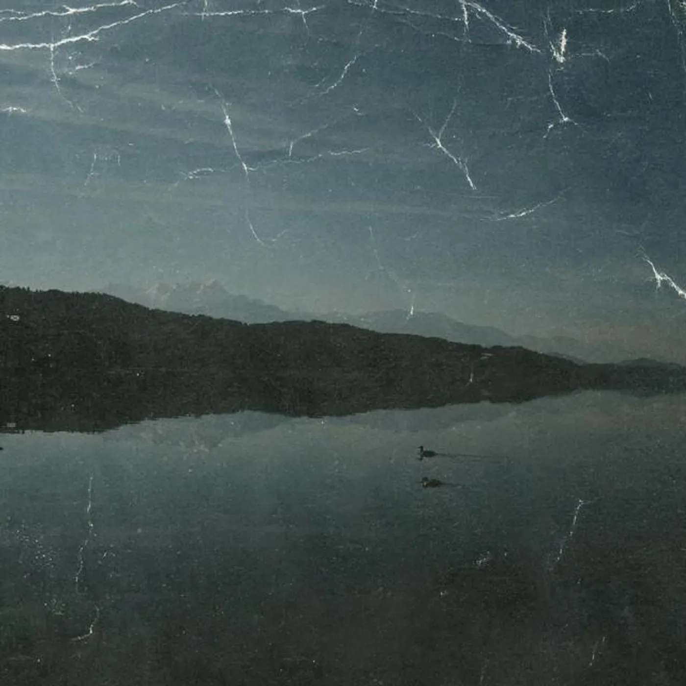 Boil The Ocean Brand Page