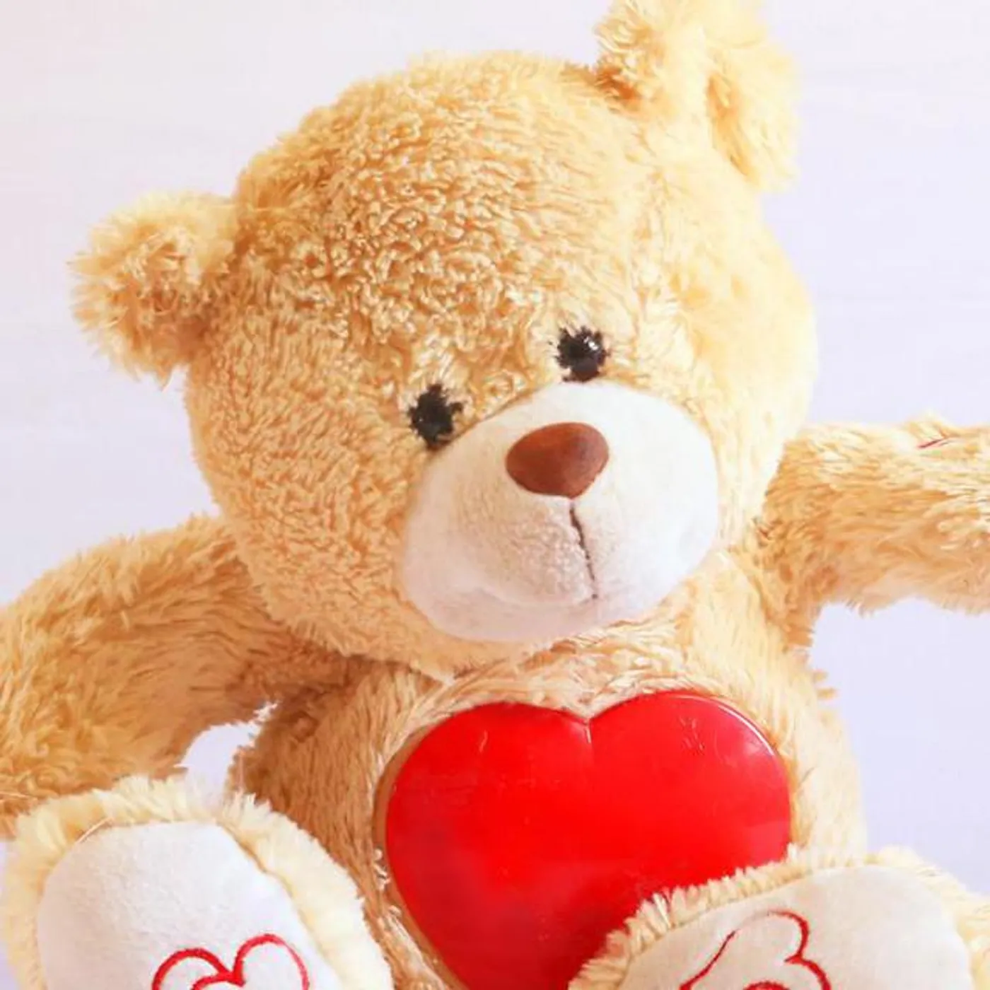 Bojo Teddy Brand Page