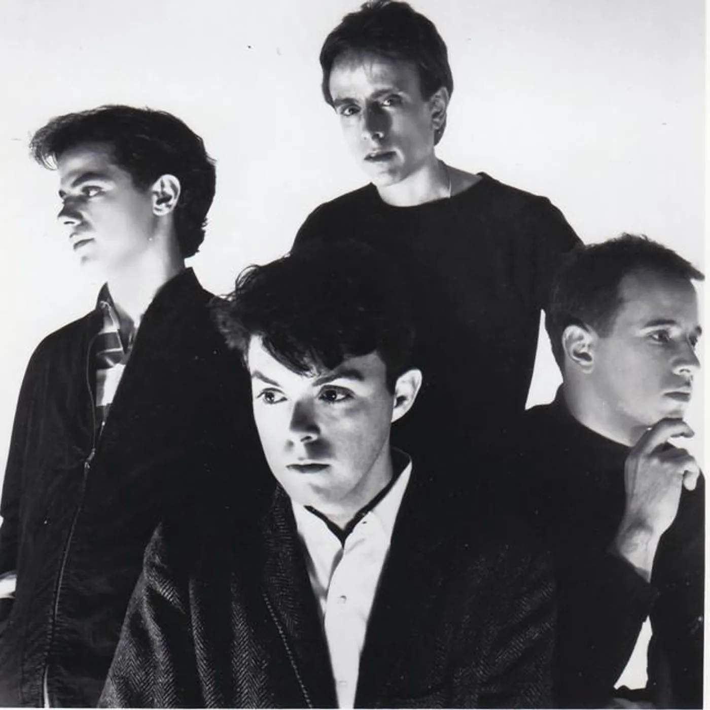 The Bongos Brand Page