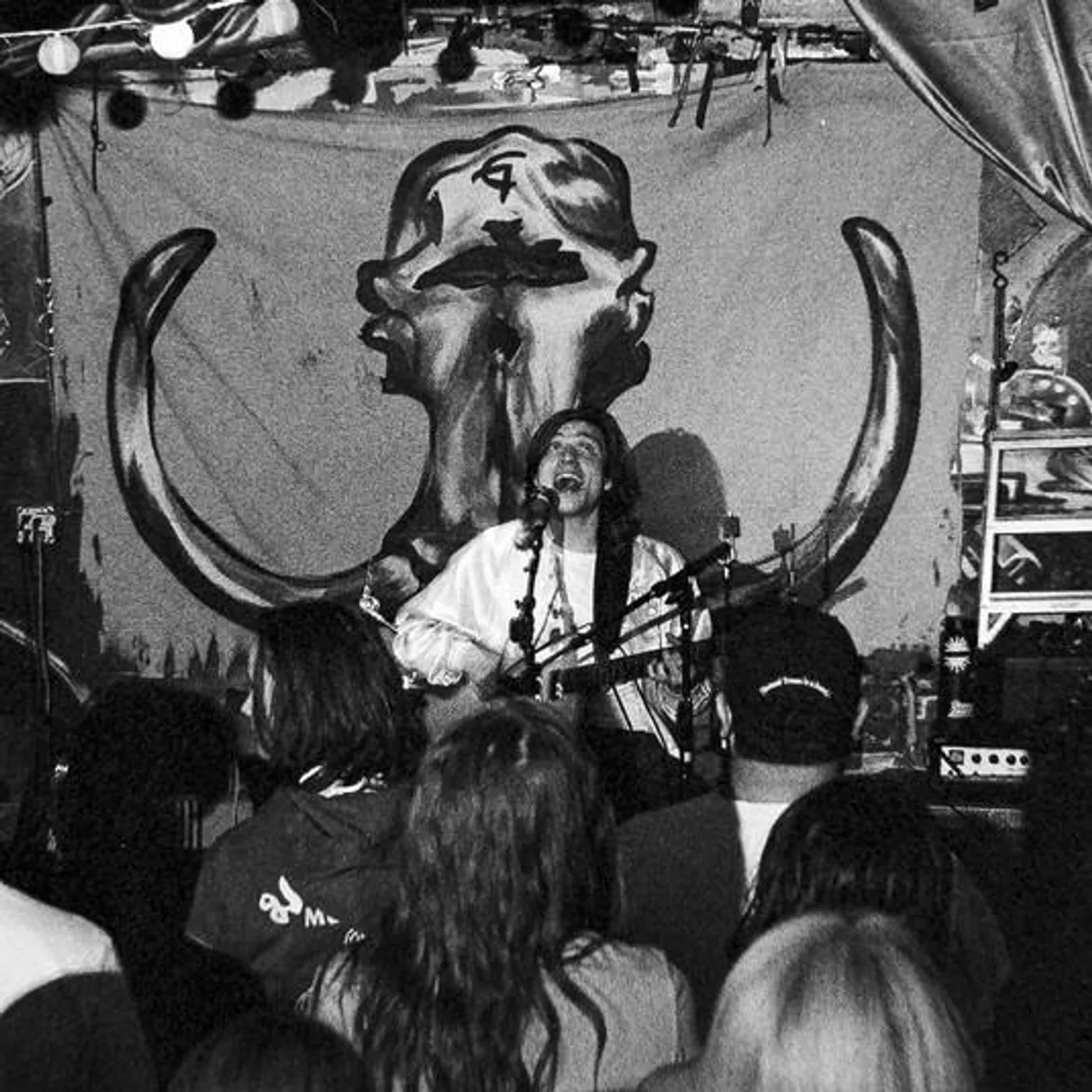 Bonsai Trees Brand Page