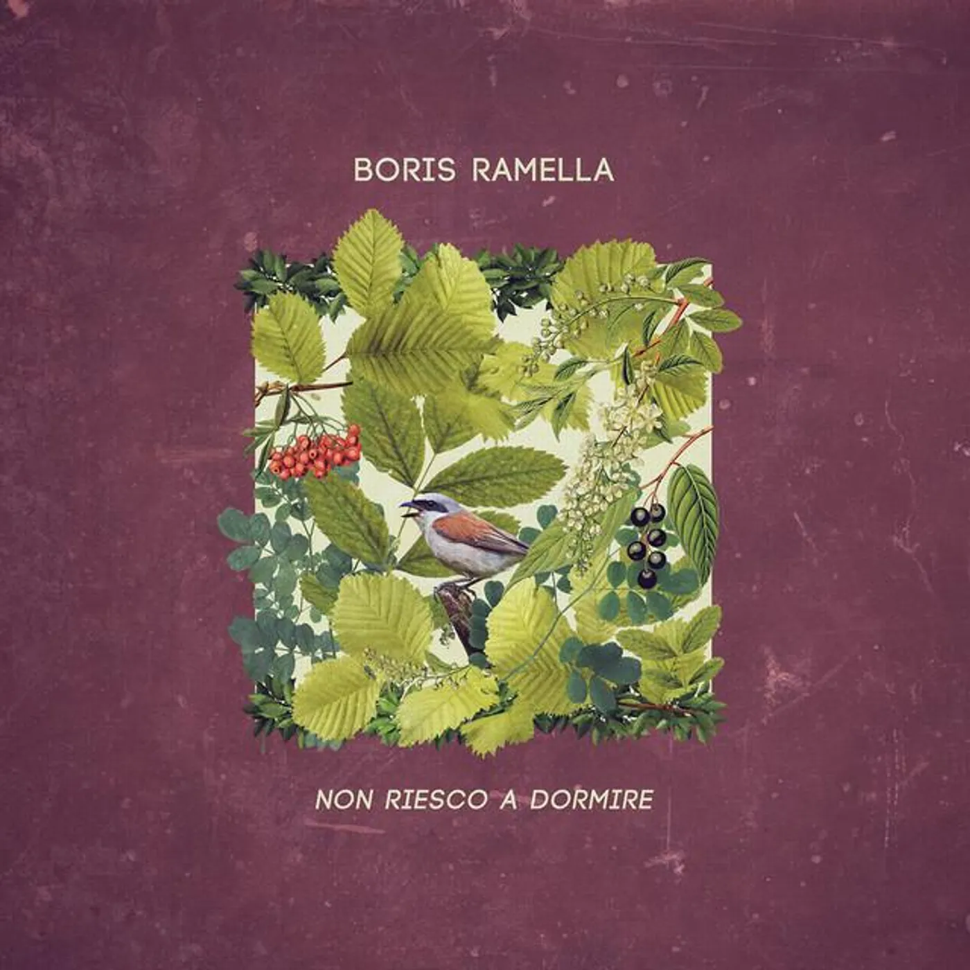 Boris Ramella Brand Page