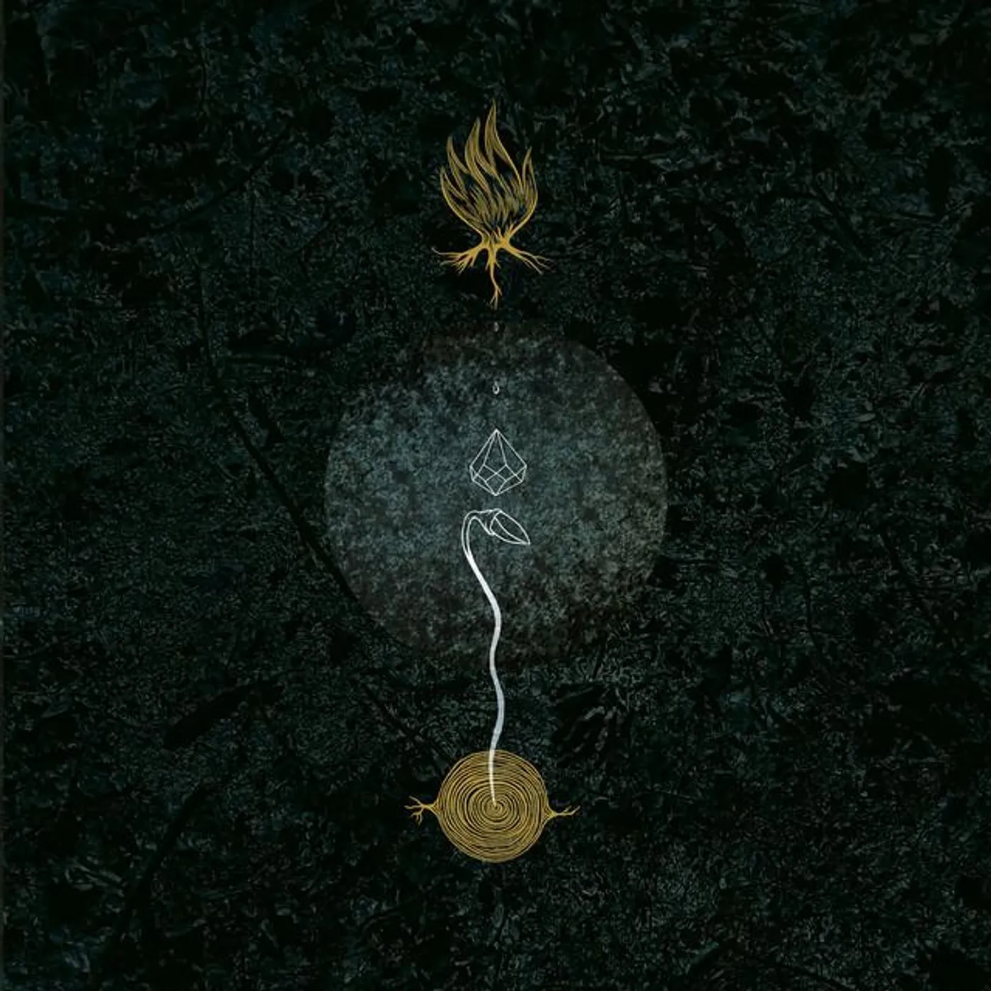 Bosco Sacro Brand Page