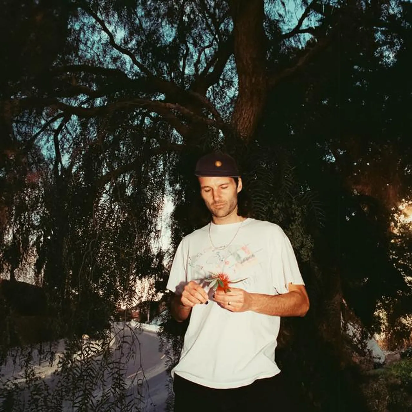 Bay Ledges Brand Page