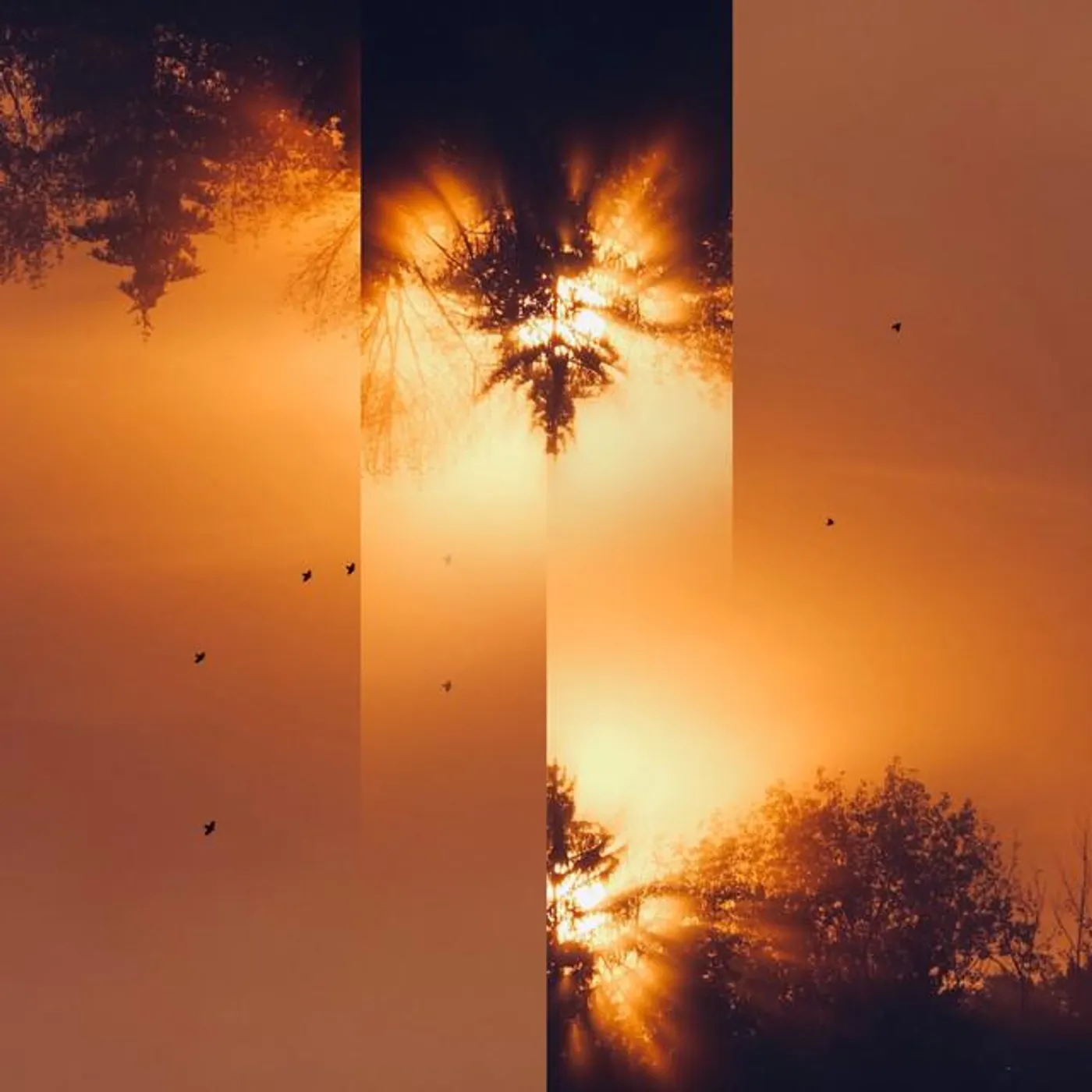 Backdrifter Brand Page