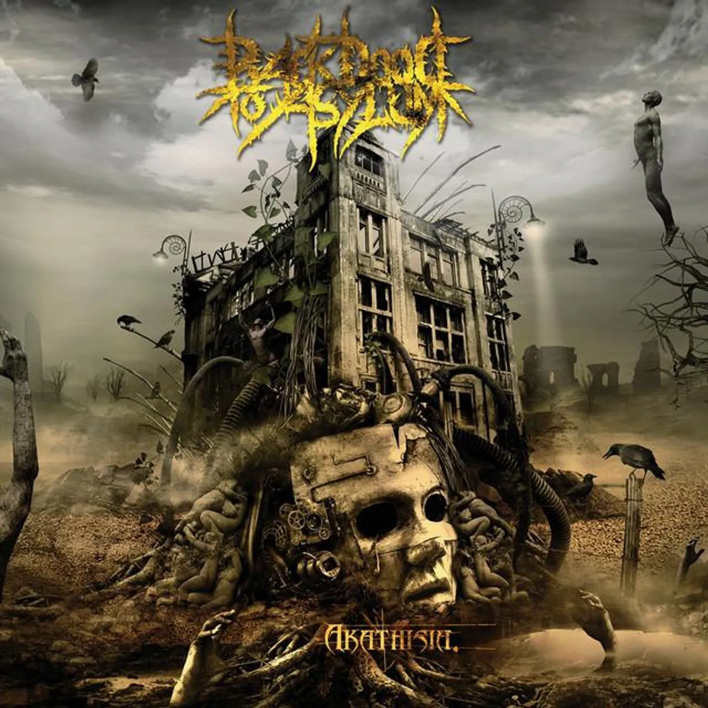 Back Door To Asylum Brand Page