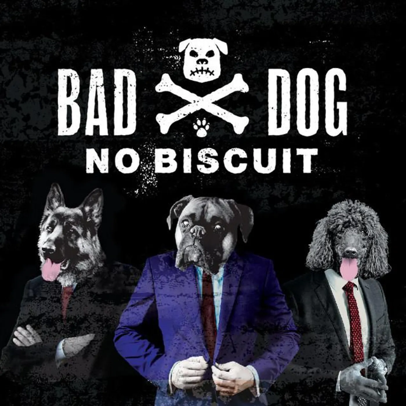 Bad Dog No Biscuit