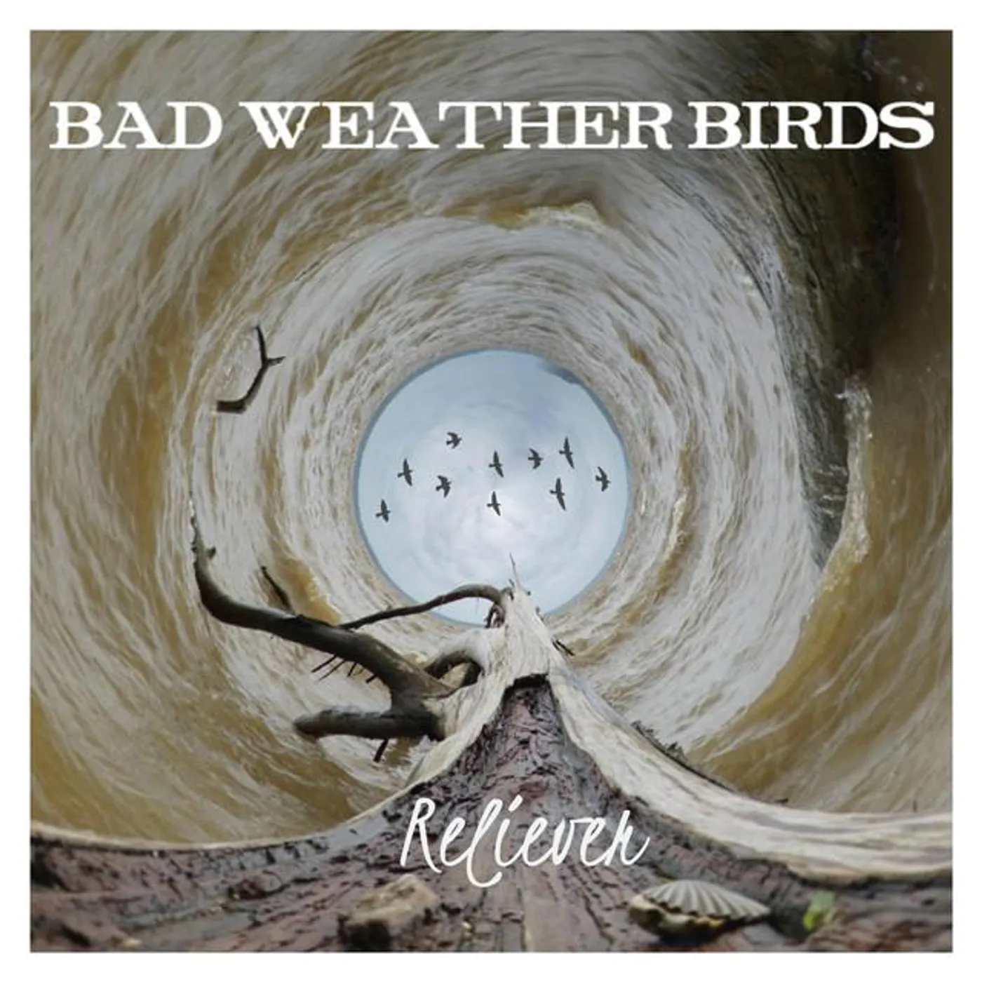 Bad Weather Birds
