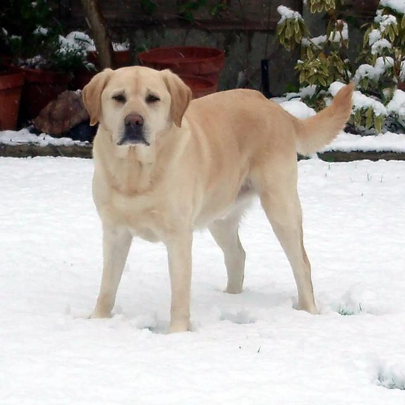 Badly Parked Sedona Brand Page