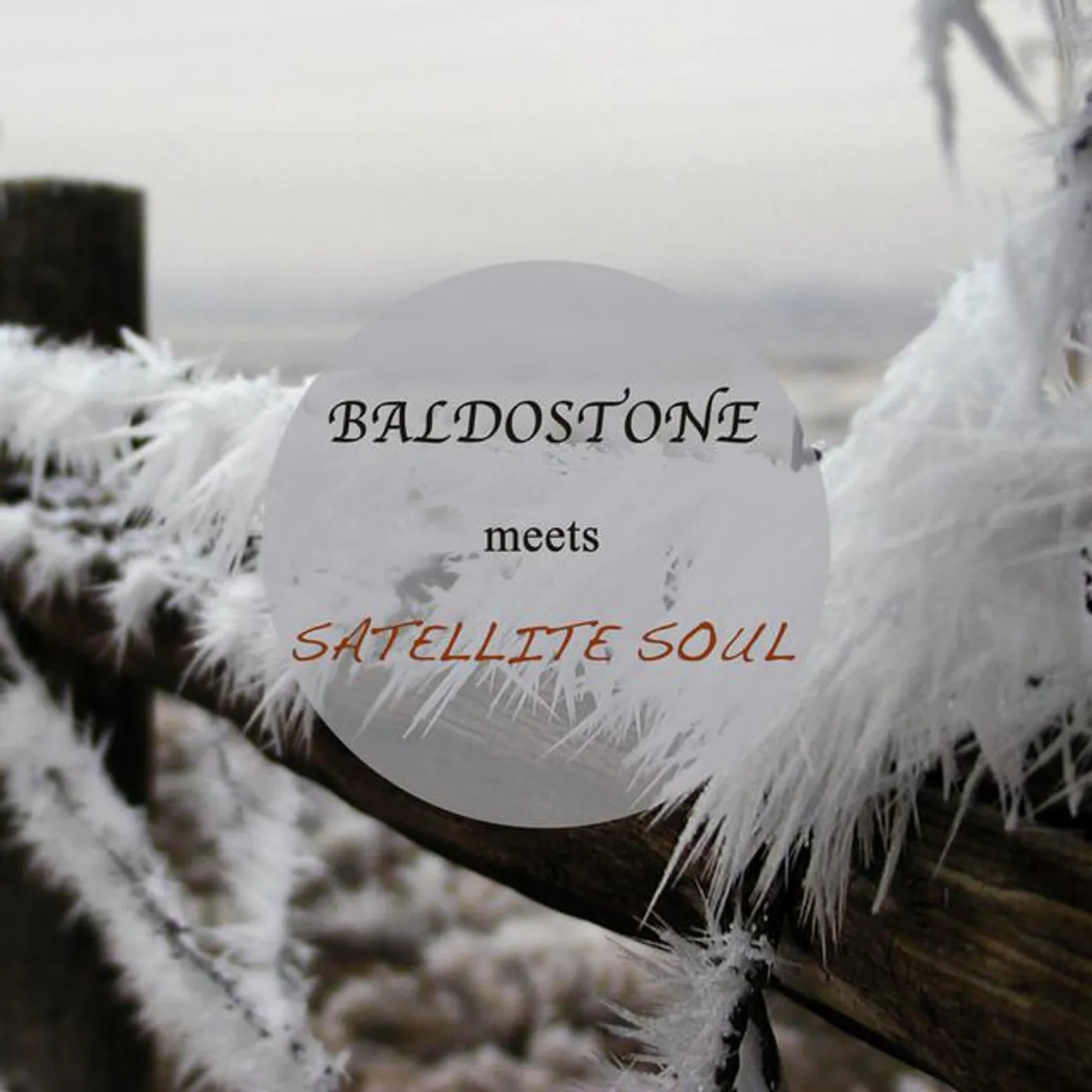 Baldostone Brand Page