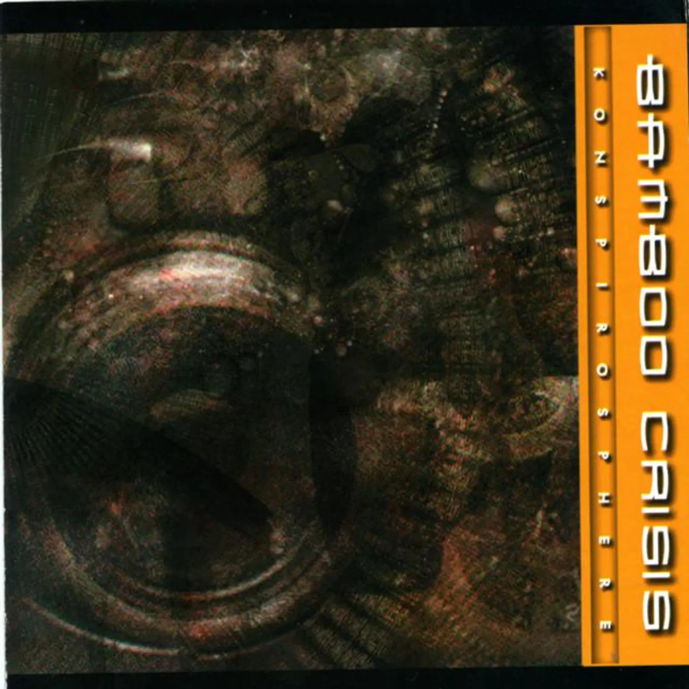 Bamboo Crisis Brand Page