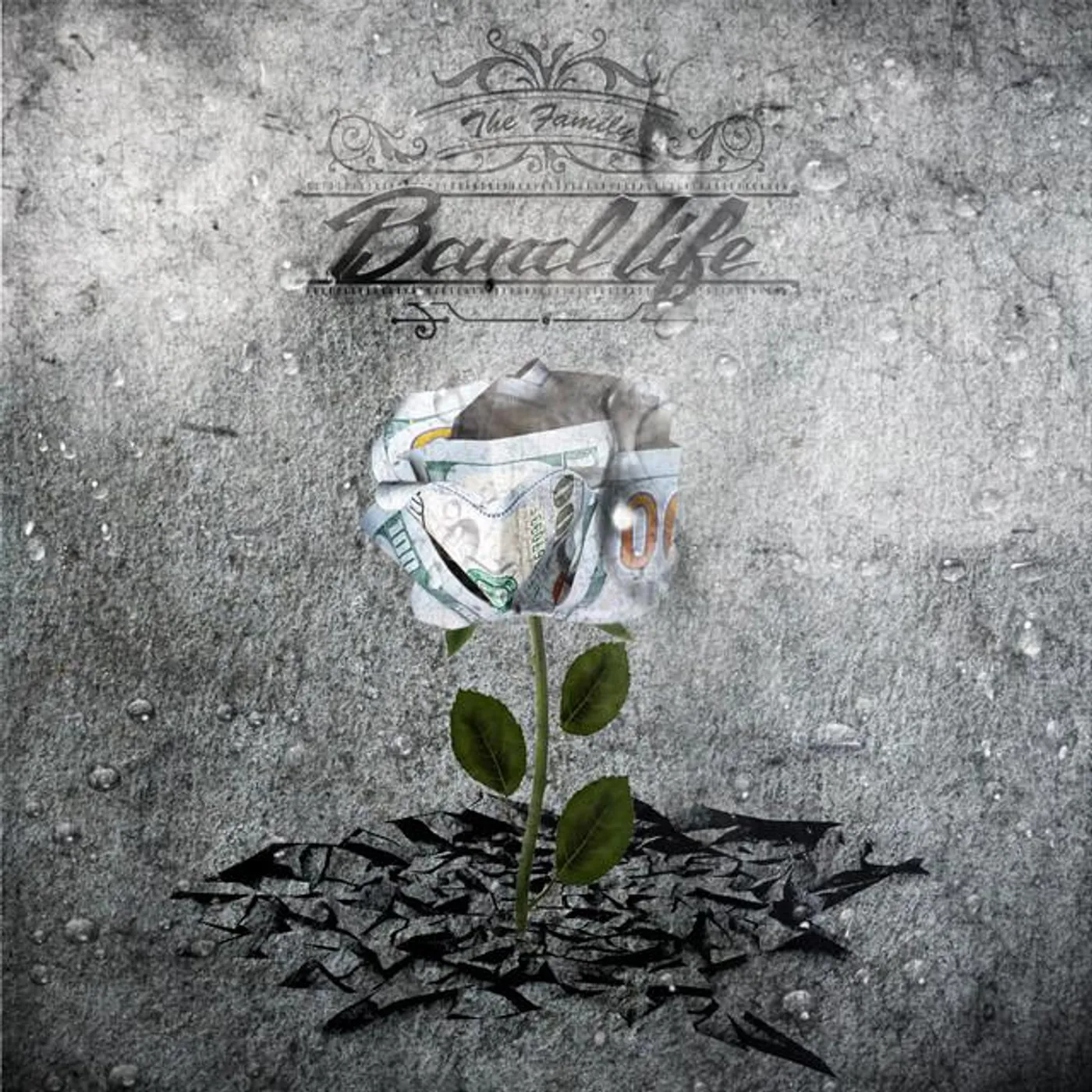 Band Gang Javar Brand Page