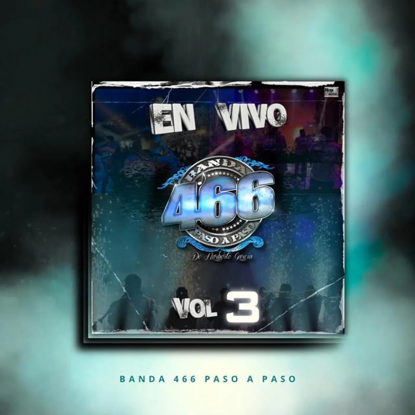 Banda 466 Paso a Paso Brand Page