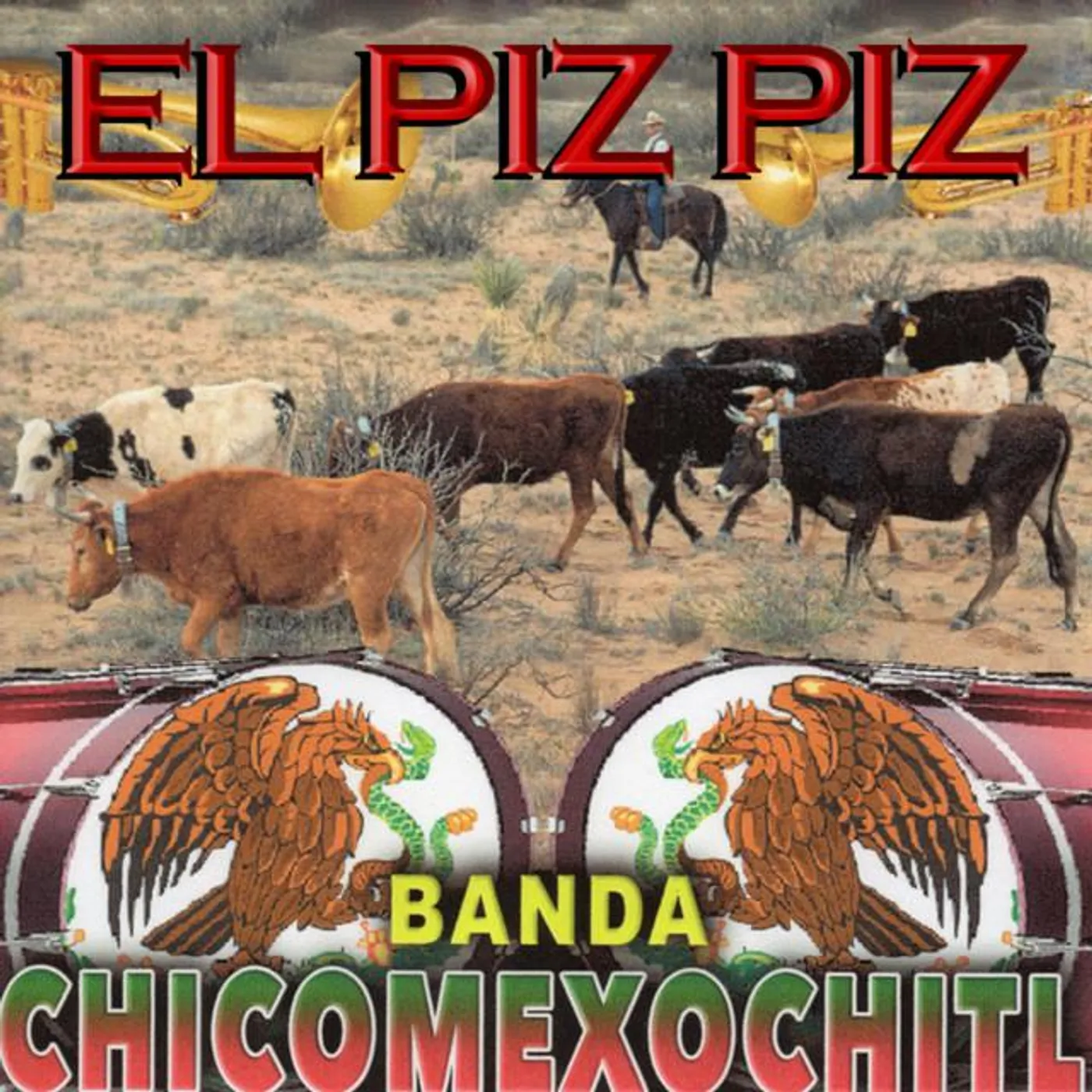 Banda Chicomexochitl