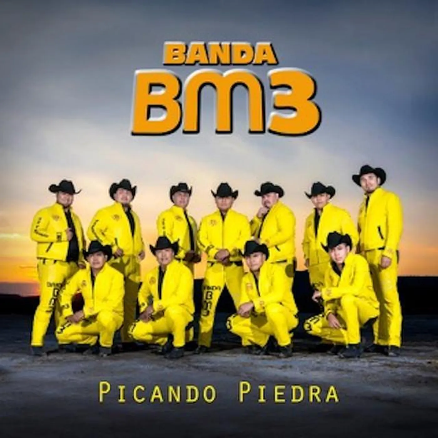 Banda BM3