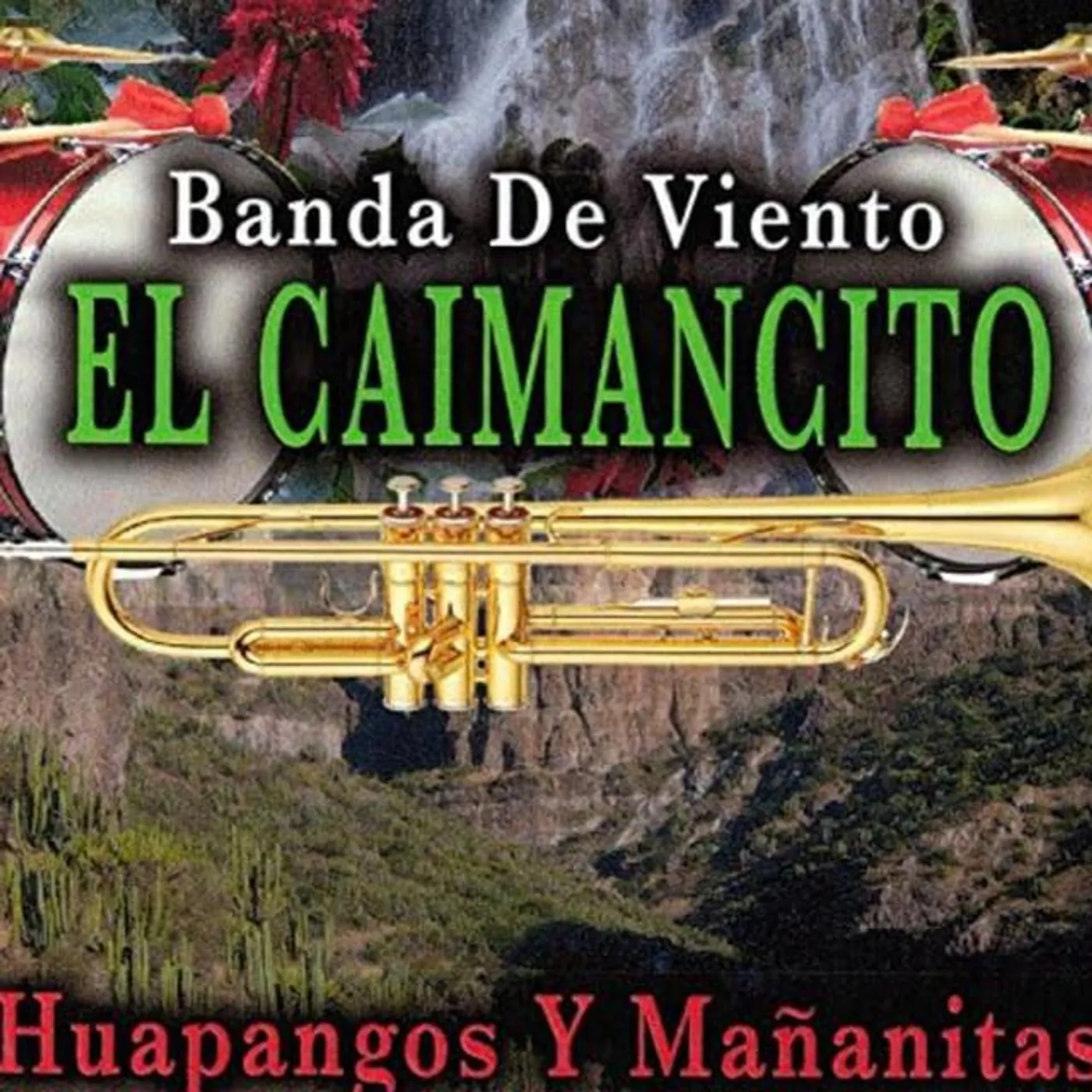 Banda De Viento El Caimancito