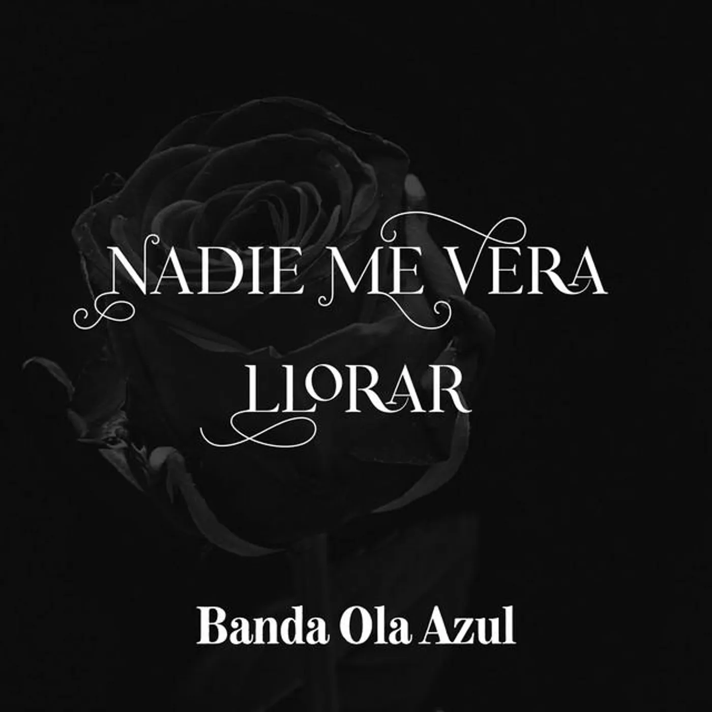Banda Ola Azul Brand Page