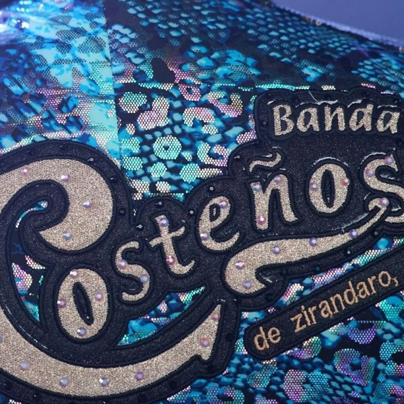 Banda los Costeños Brand Page