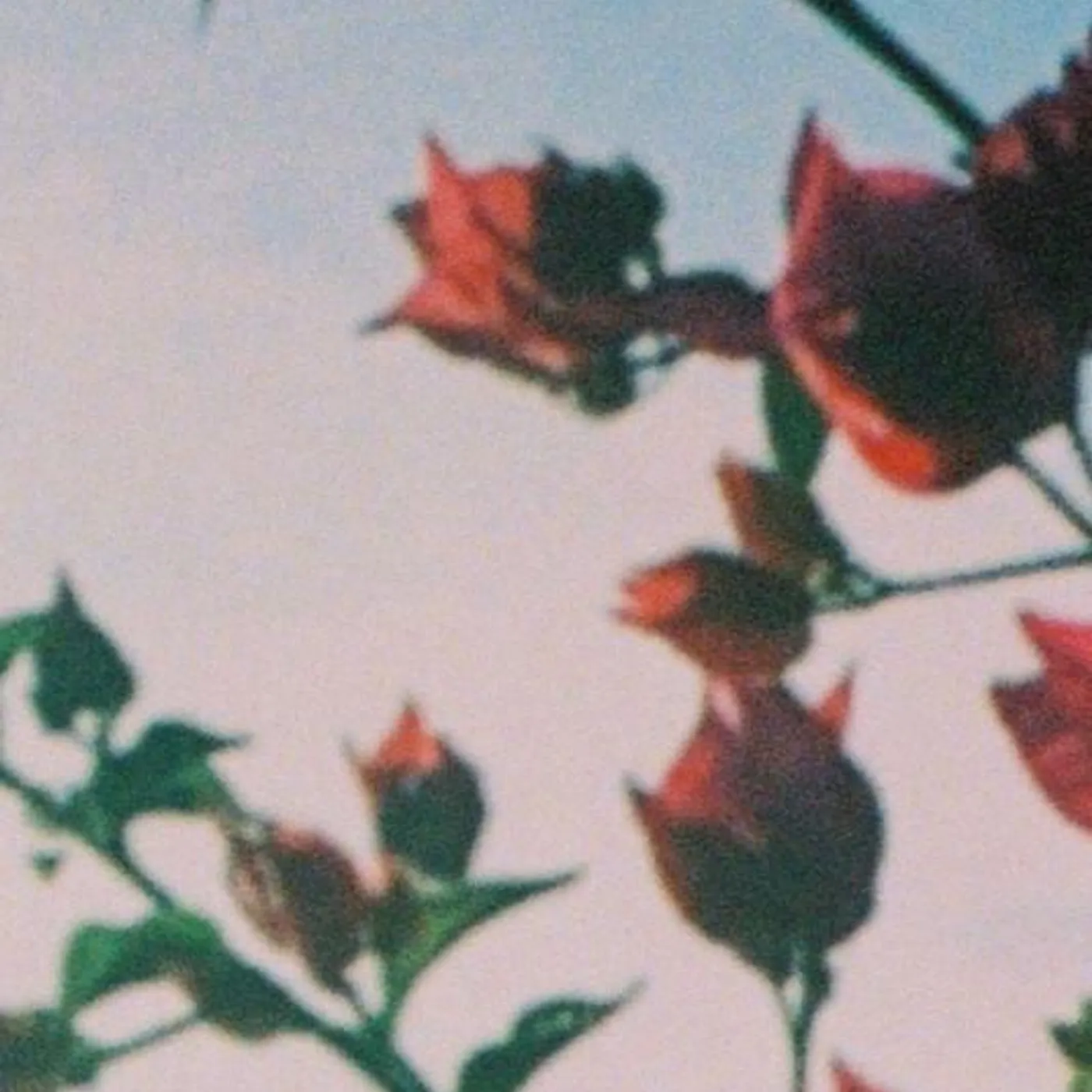 Banda Magda Brand Page