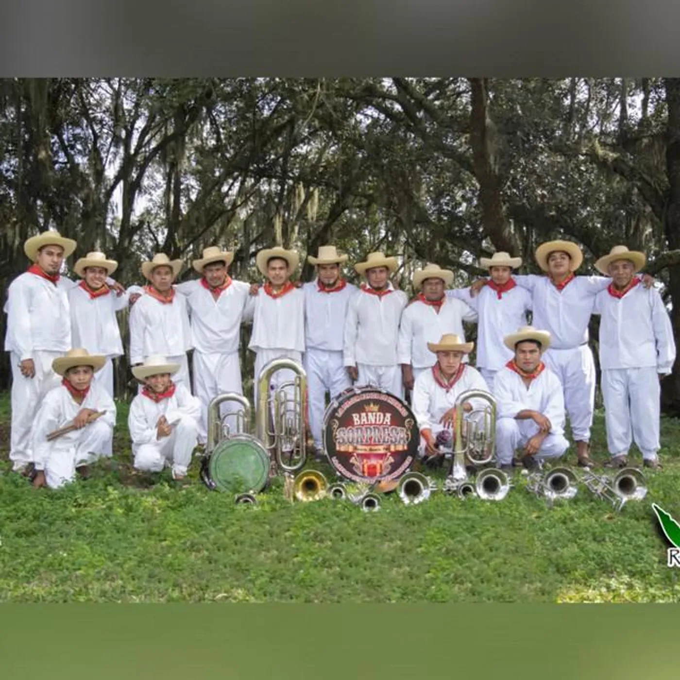 Banda Sorpresa Brand Page
