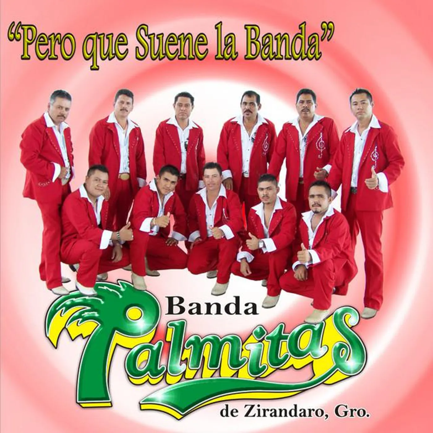 Banda Palmitas de Zirandaro, Gro