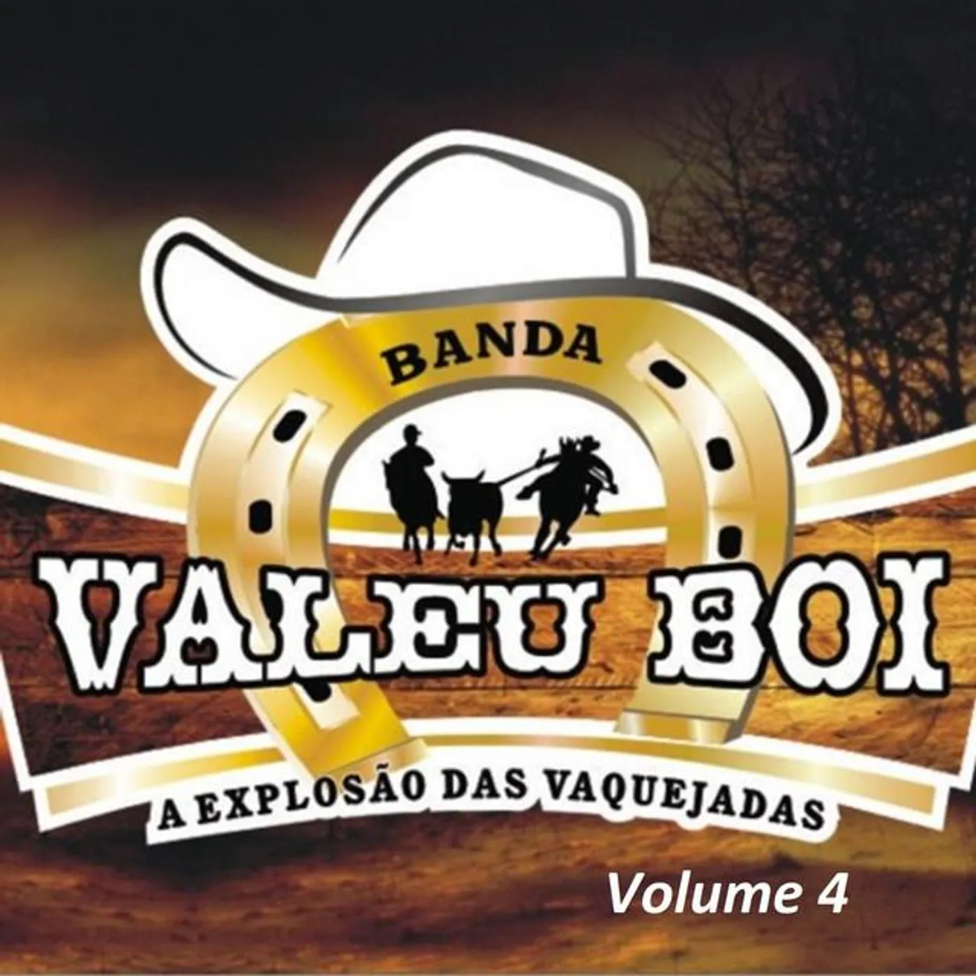 Banda Valeu Boi Brand Page