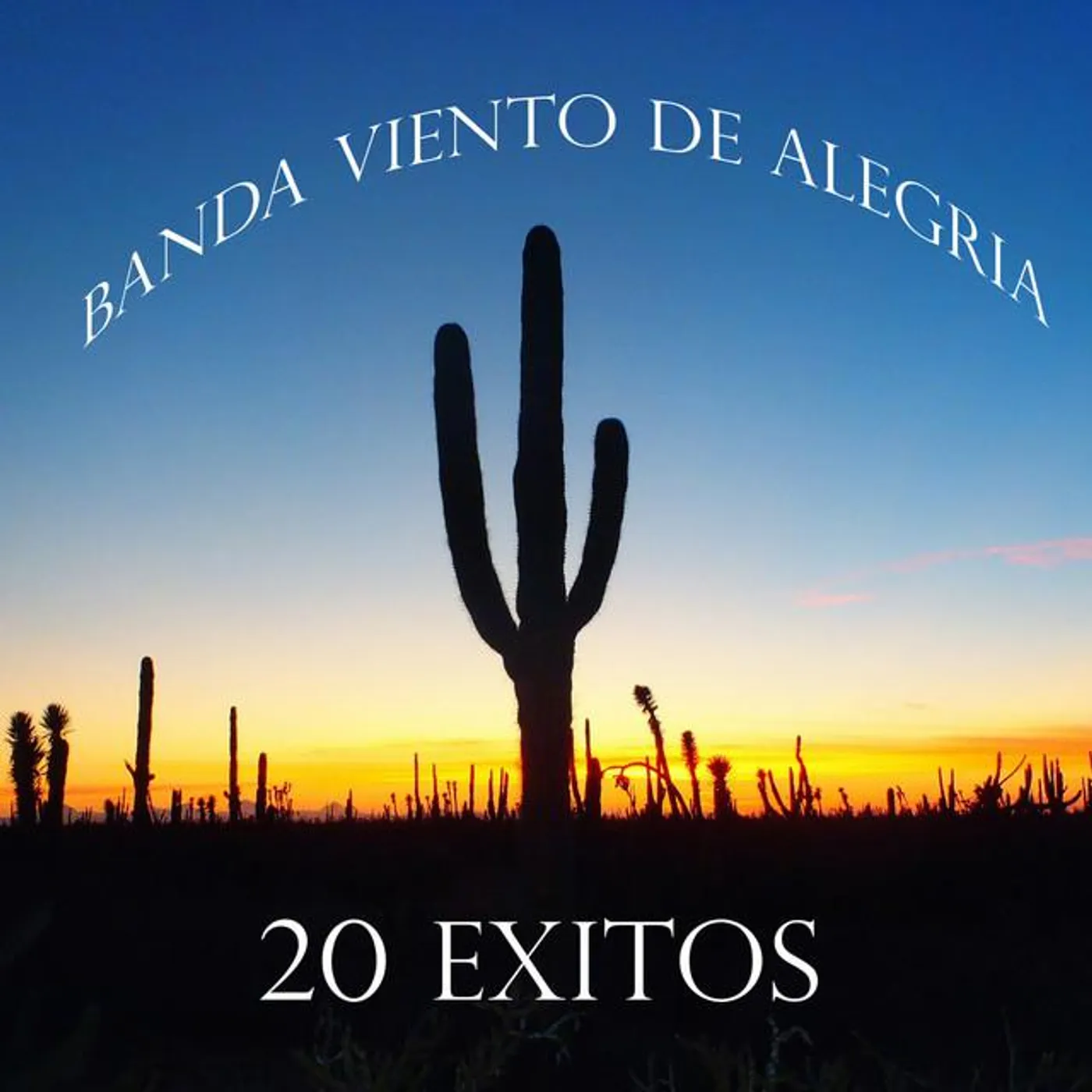 Banda Viento De Alegria