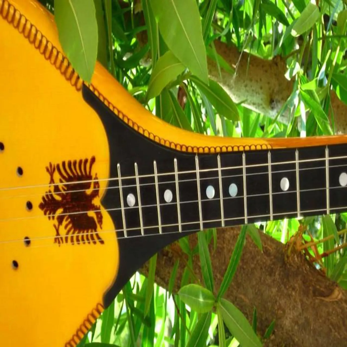 Bardhok Prebibaj Brand Page