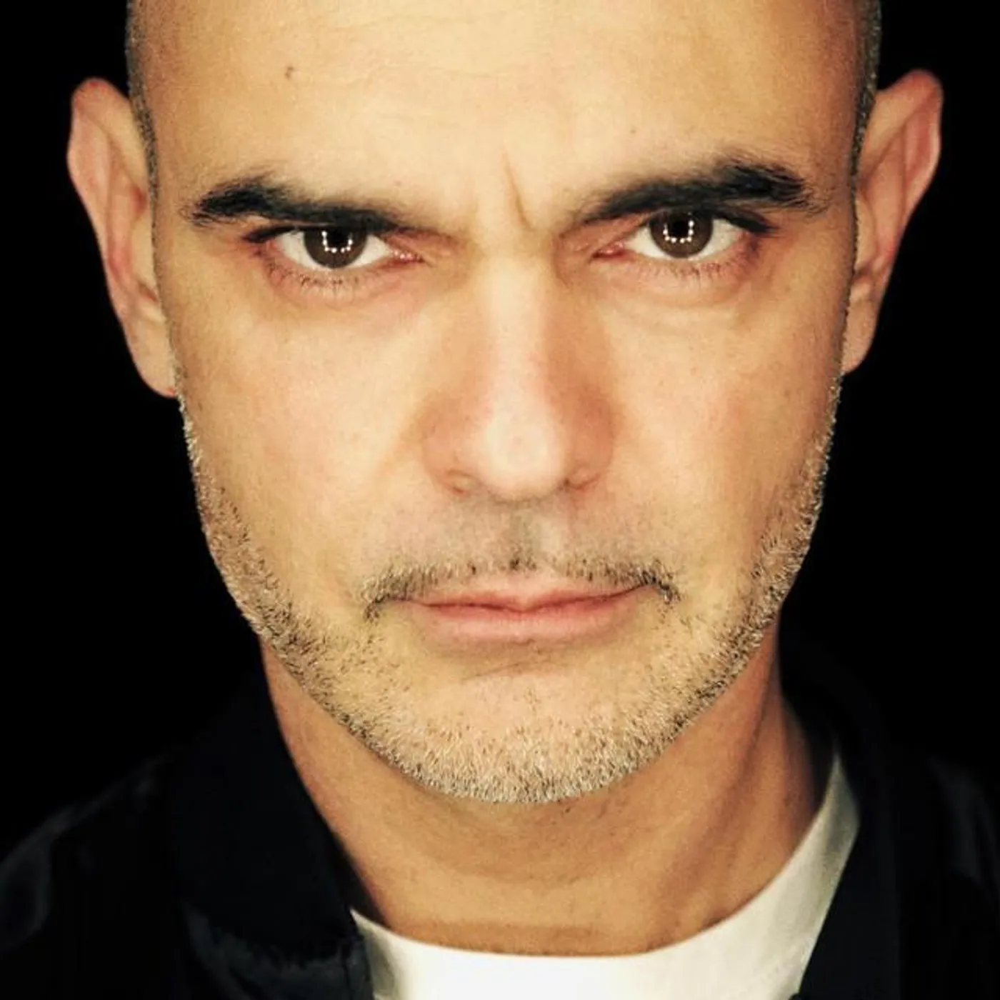 Bassi Maestro Brand Page