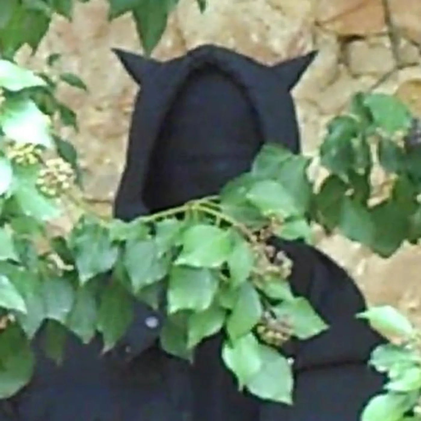 Bby Demon Brand Page