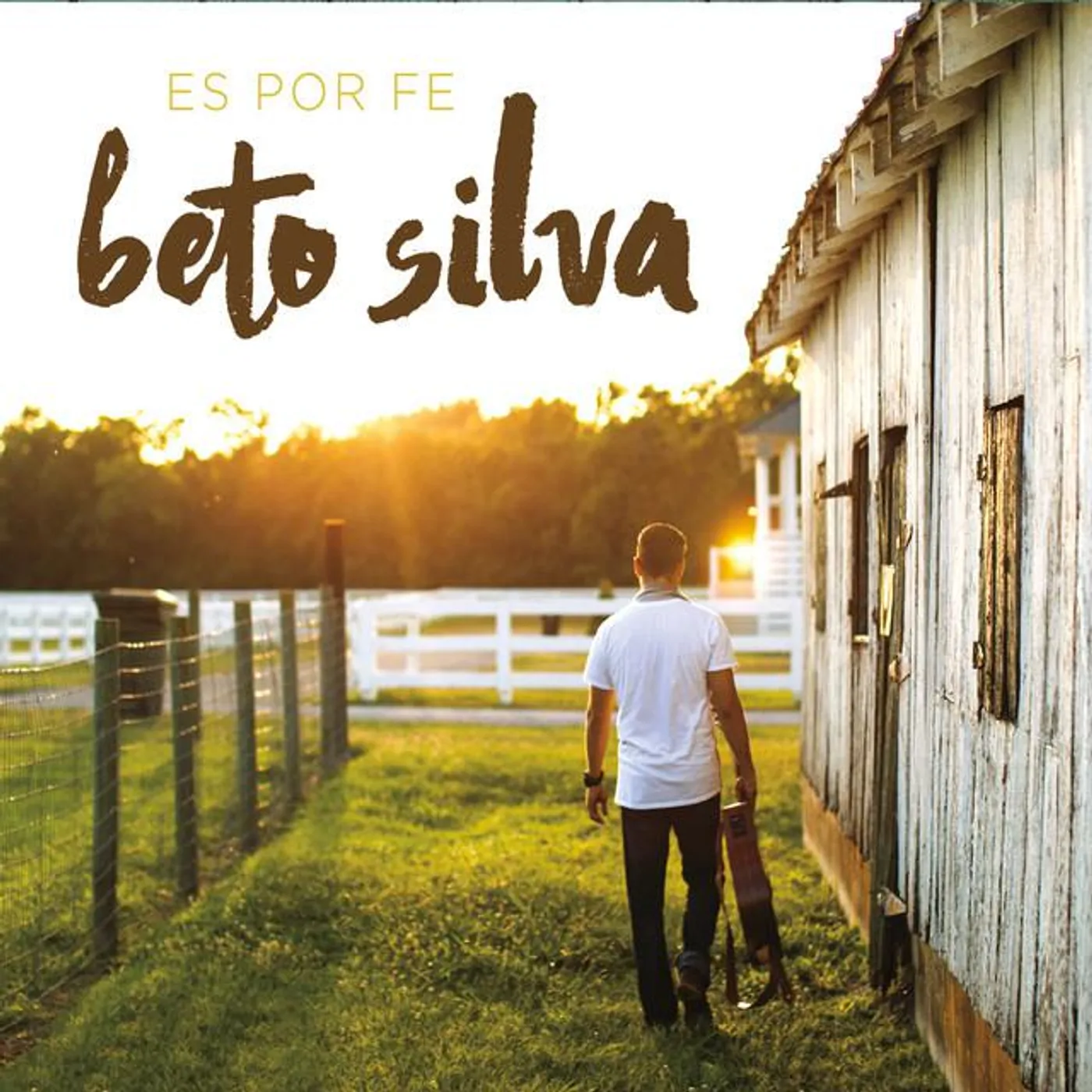 Beto Silva Brand Page