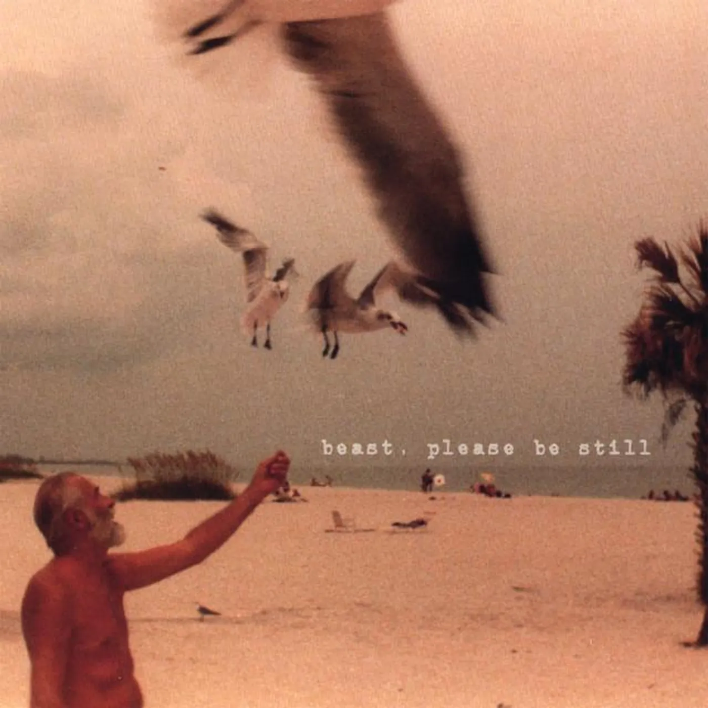 Beast, Please Be Still Brand Page