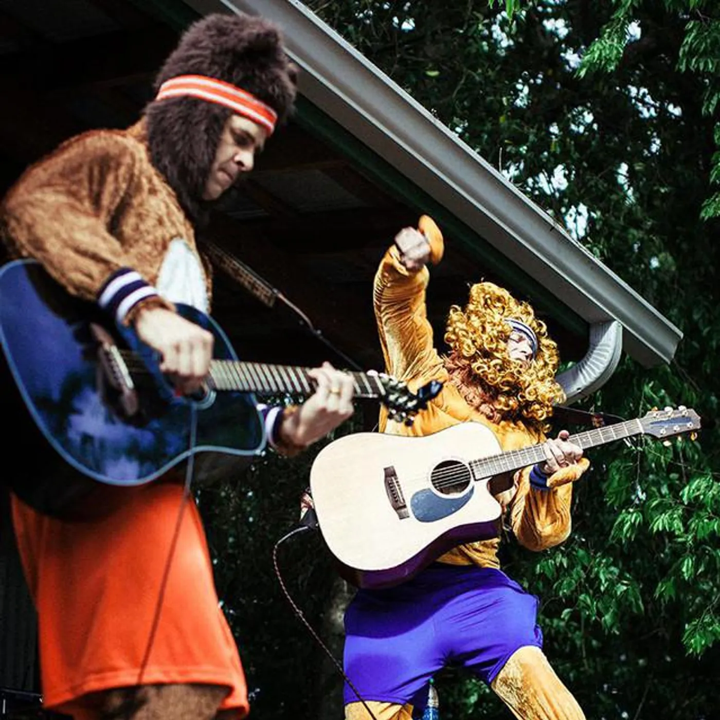 Bears and Lions Brand Page